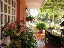 Apartments House Jelena in Mlini Dubrovnik Croatia