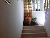 Apartments House Jelena in Mlini Dubrovnik Croatia