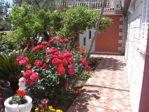 Apartments House Jelena in Mlini Dubrovnik Croatia