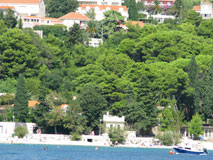 Apartments House Jelena in Mlini Dubrovnik Croatia