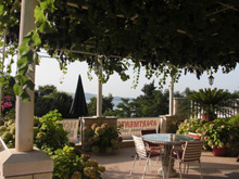 Studio with Terrace and Sea View - House Jelena in Mlini Dubrovnik Croatia